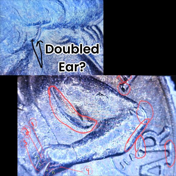 READ Bicentennial Quarter 1976D Double Die Double Ear Crack Die Clash Error Coin - Picture 8 of 12